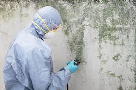 Best Water Damage & Mold Remediation  in Poydras, LA